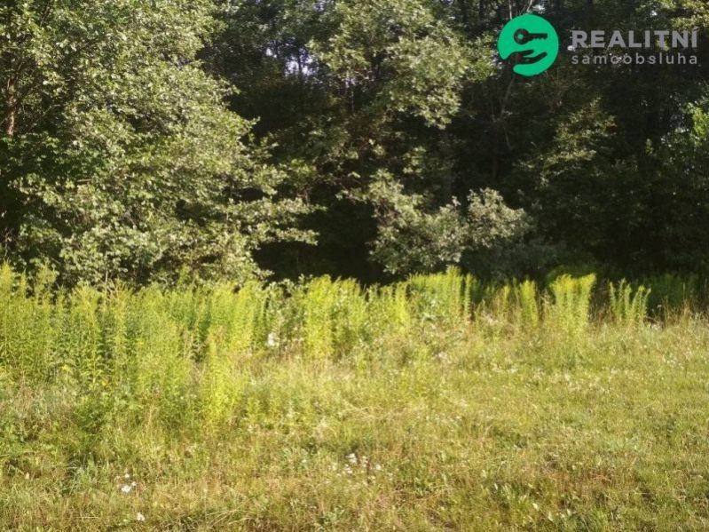 Prodej zahrada - Třebsín, Krňany, 679 m²