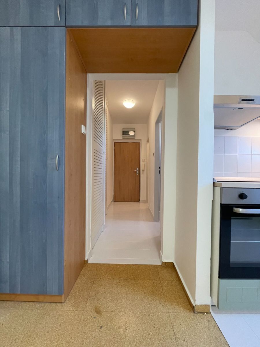 Byt 1+kk · 37 m² · Högrova, Brno - Královo Pole, Jihomoravský kraj - 4