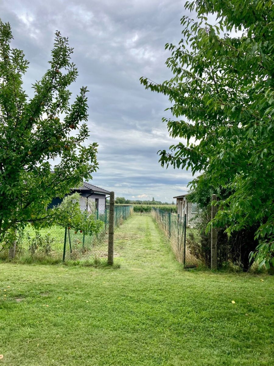 Pozemek pro bydlení · 1 177 m² · Ke Trati, Pavlov u Unhoště, Středočeský kraj - 4