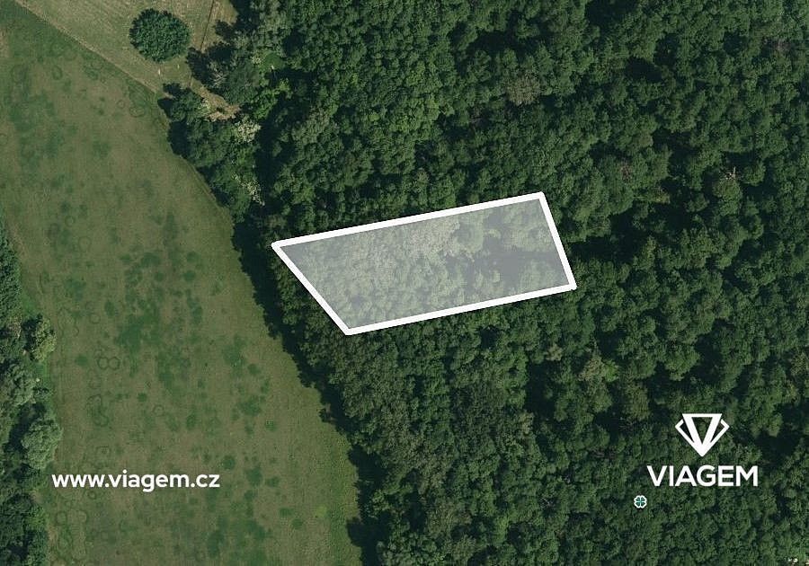 Prodej les - Brno, okres Brno-město, Jihomoravský kraj - 2