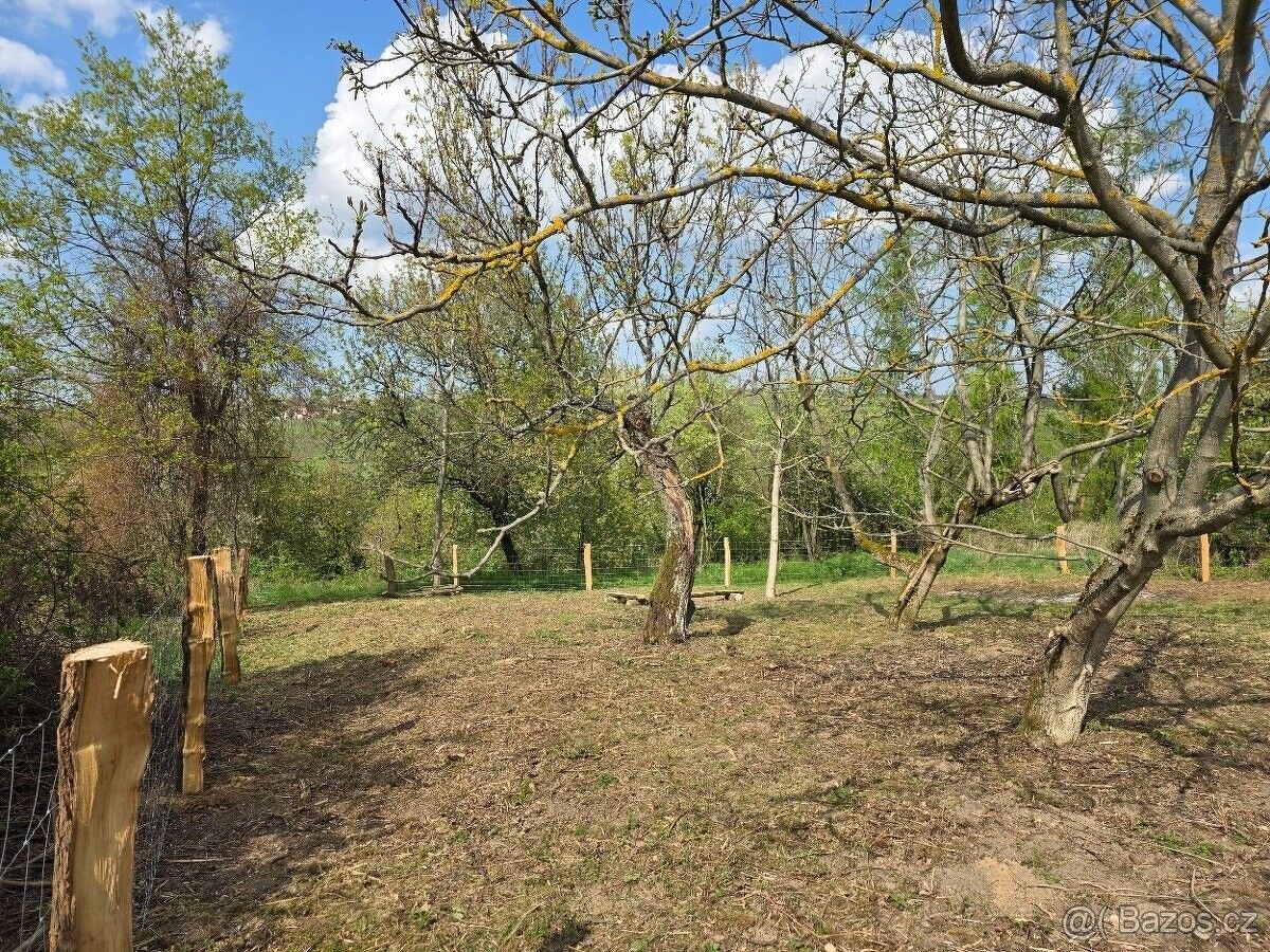 Zahrada, Boršice – pohled 2
