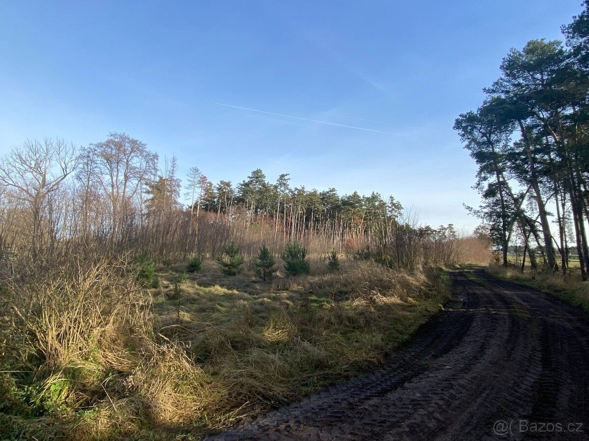 Pozemky pro bydlení, Sadská, 289 12