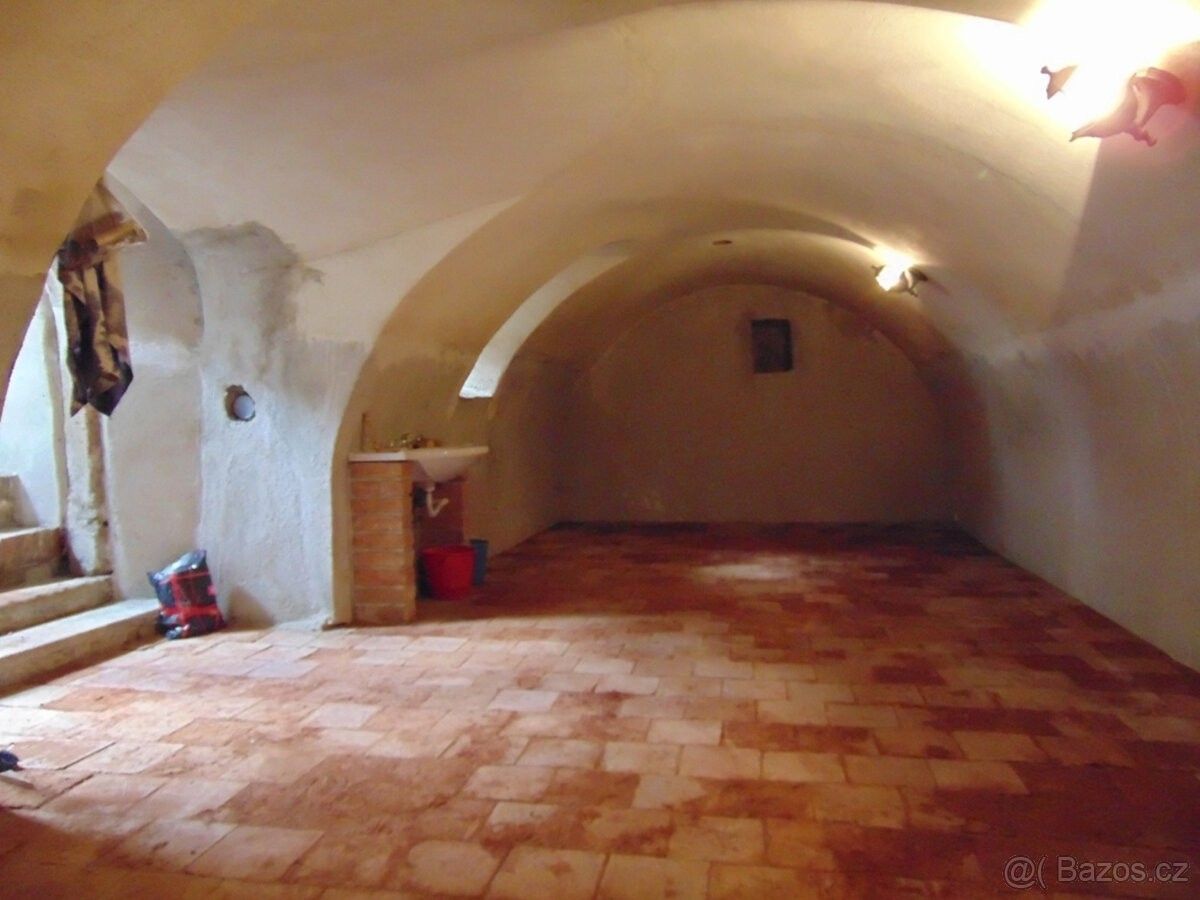 Prodej ostatní - Znojmo, 669 02 - 5