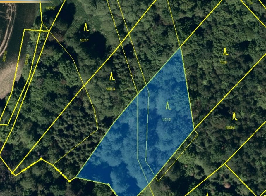 Prodej les - Kyjovice, 4 928 m²