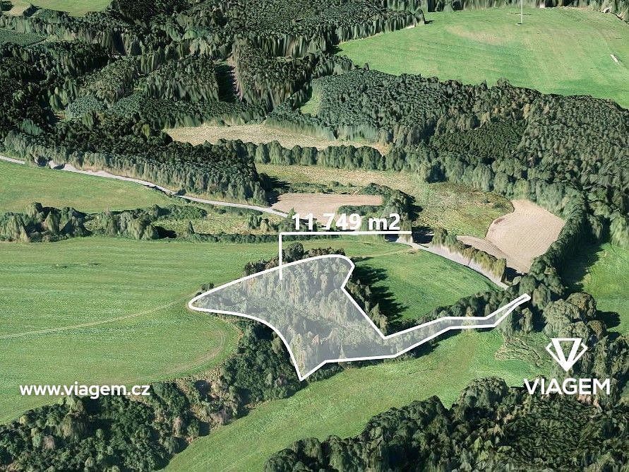 Les · Svojšín, okres Tachov, Plzeňský kraj - 1