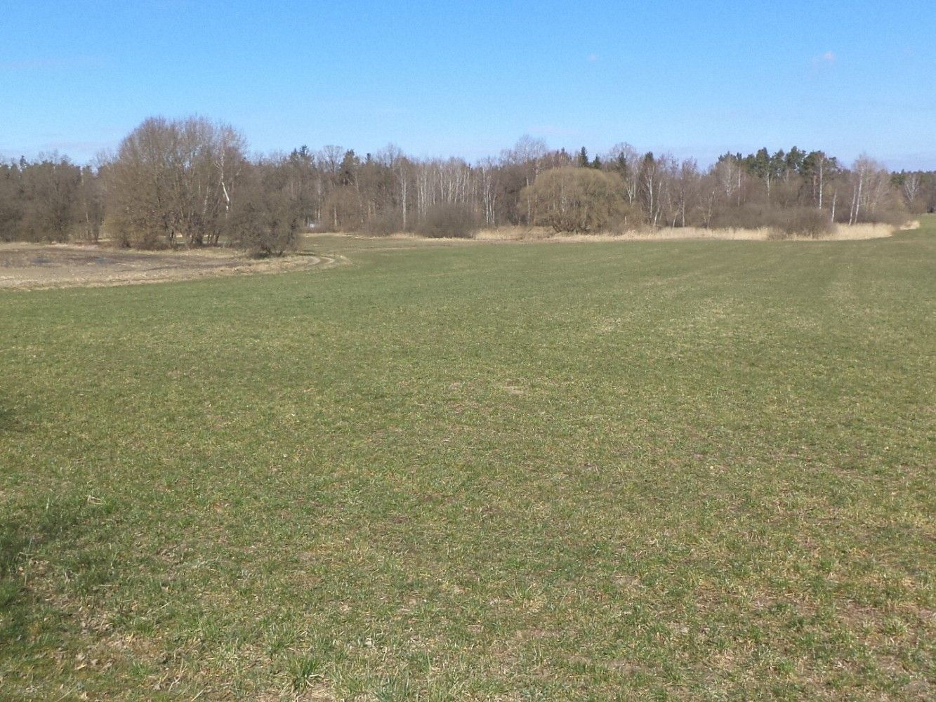 Zemědělské pozemky, Stříbřec - 1