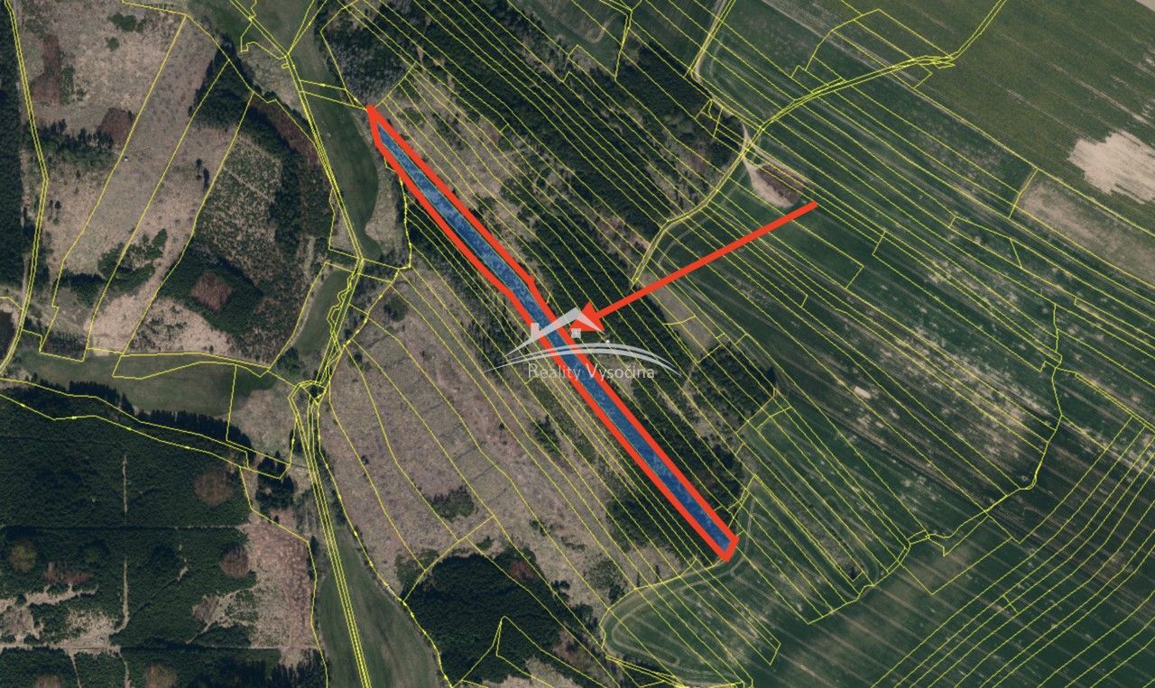 Lesy, Nerudova, Žirovnice, 8 890 m²