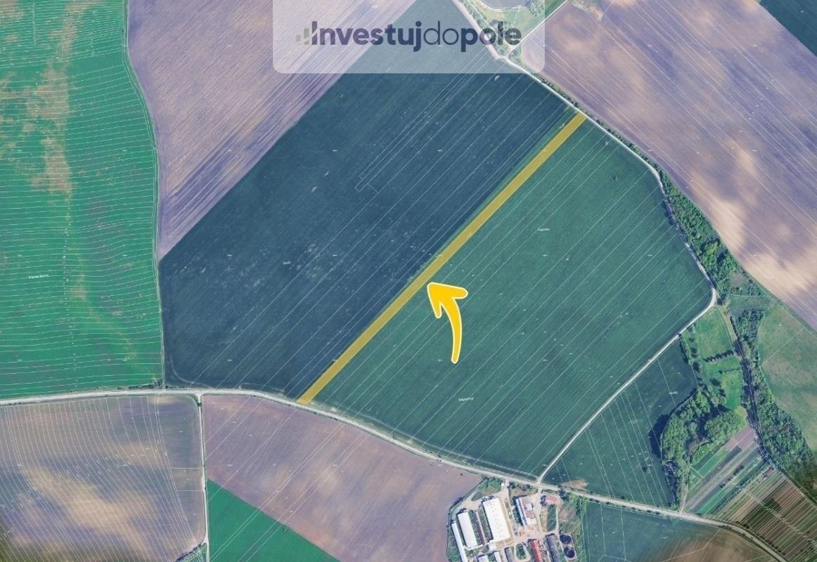 Prodej zemědělský pozemek - Nikolčice, 15 471 m²