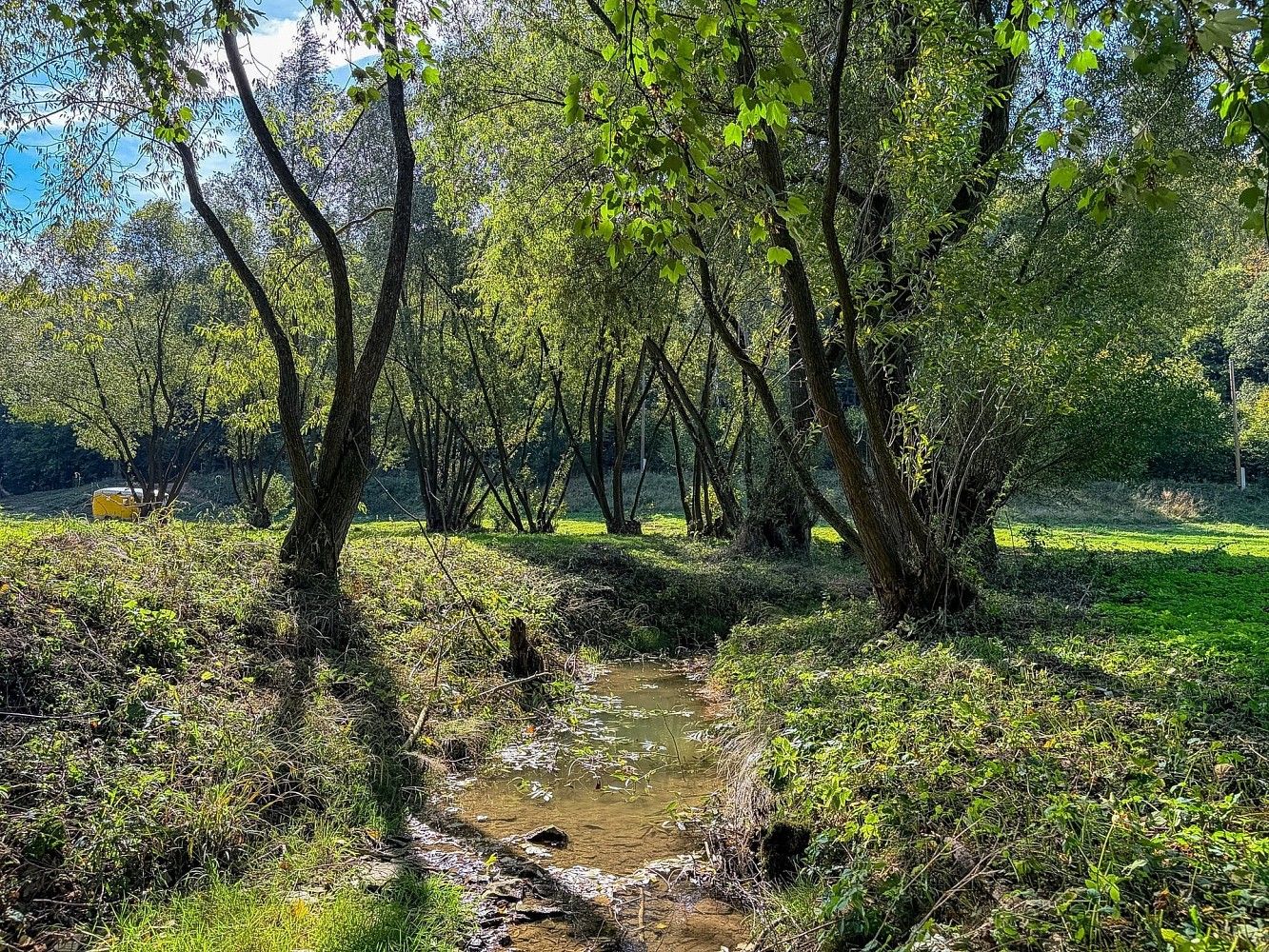 Pozemek pro bydlení · Řepníky - Popovec, okres Ústí nad Orlicí - 3