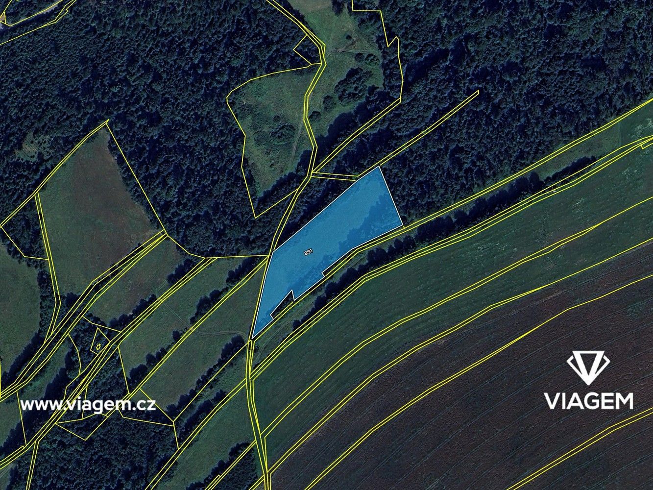 Zemědělský pozemek · Staré Těchanovice, okres Opava, Moravskoslezský kraj - 4