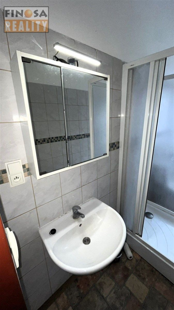Pronájem byt 1+1 - Masarykova, Ústí nad Labem, 30 m² - 5