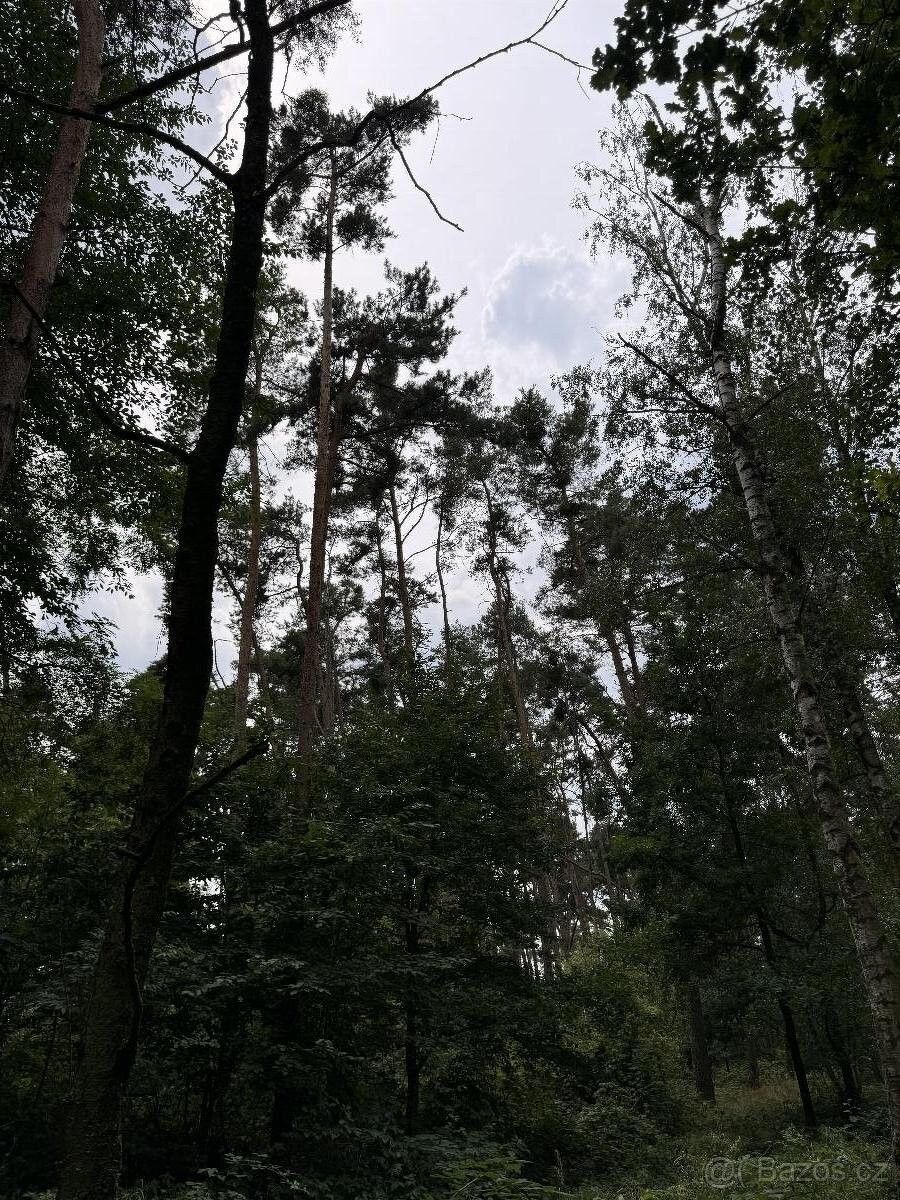 Prodej pozemek pro bydlení - Chvaletice, 533 12