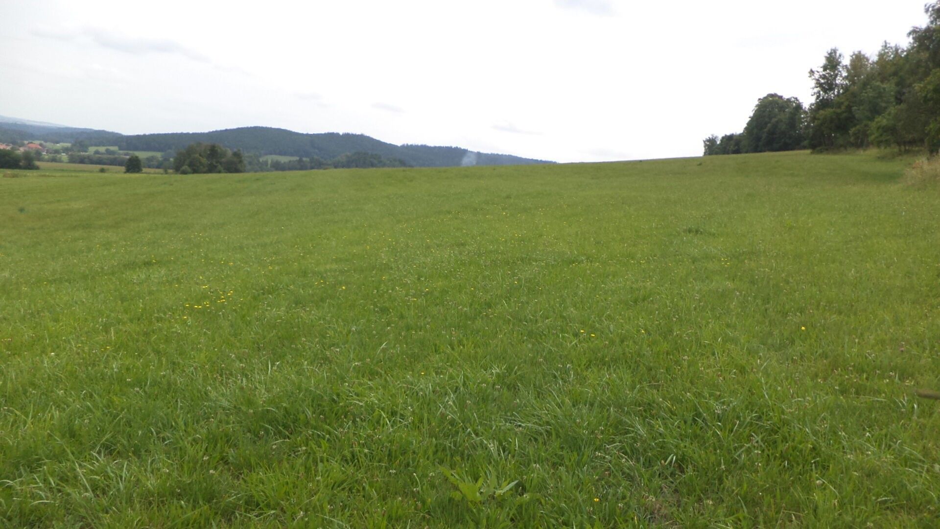 Pozemek · 5 987 m² · Holubov - 4