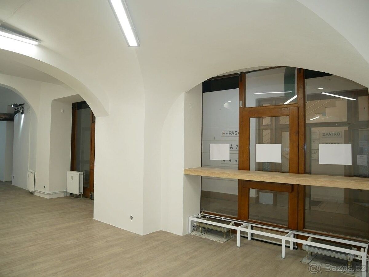 Pronájem restaurace - Brno, 602 00 - 5