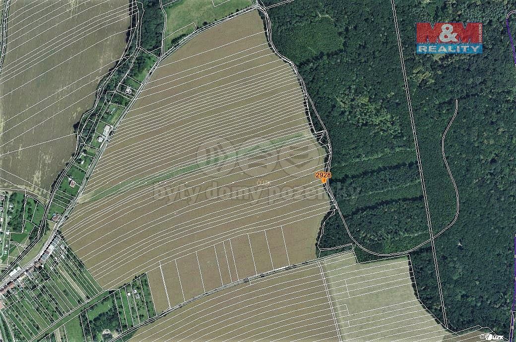 Les · Zborovice, okres Kroměříž, Zlínský kraj - 3