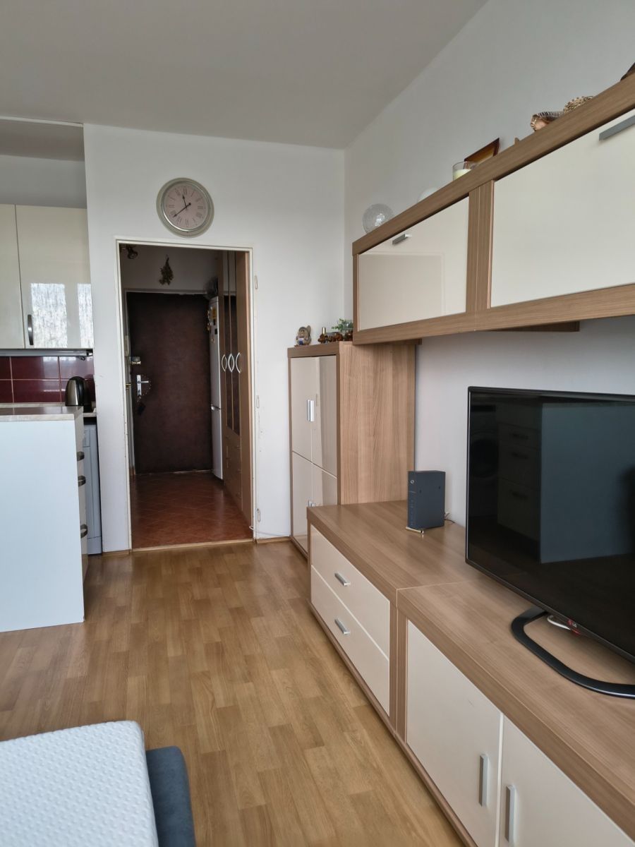 Byt 1+kk · 27 m² · Hostýnská, Praha - Malešice - 3