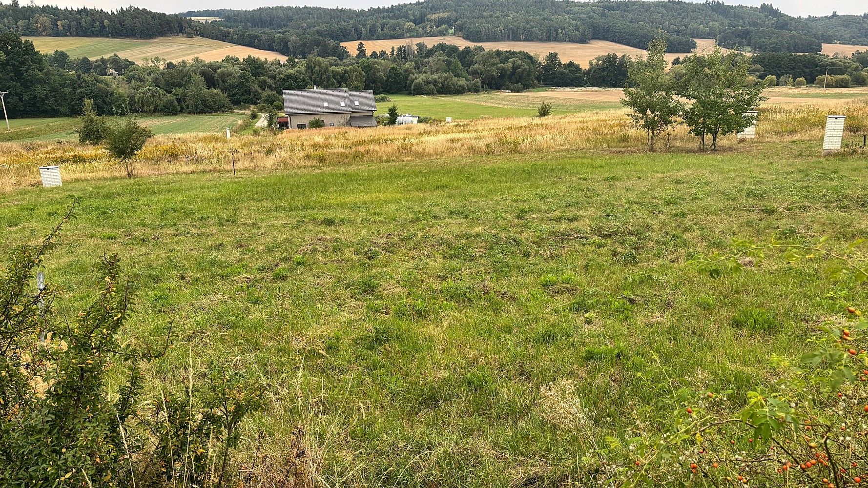 Prodej pozemek pro bydlení - Neveklov - Dalešice, okres Benešov, Středočeský kraj - 2