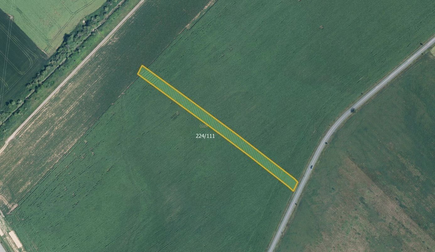 Zemědělské pozemky, Skoronice