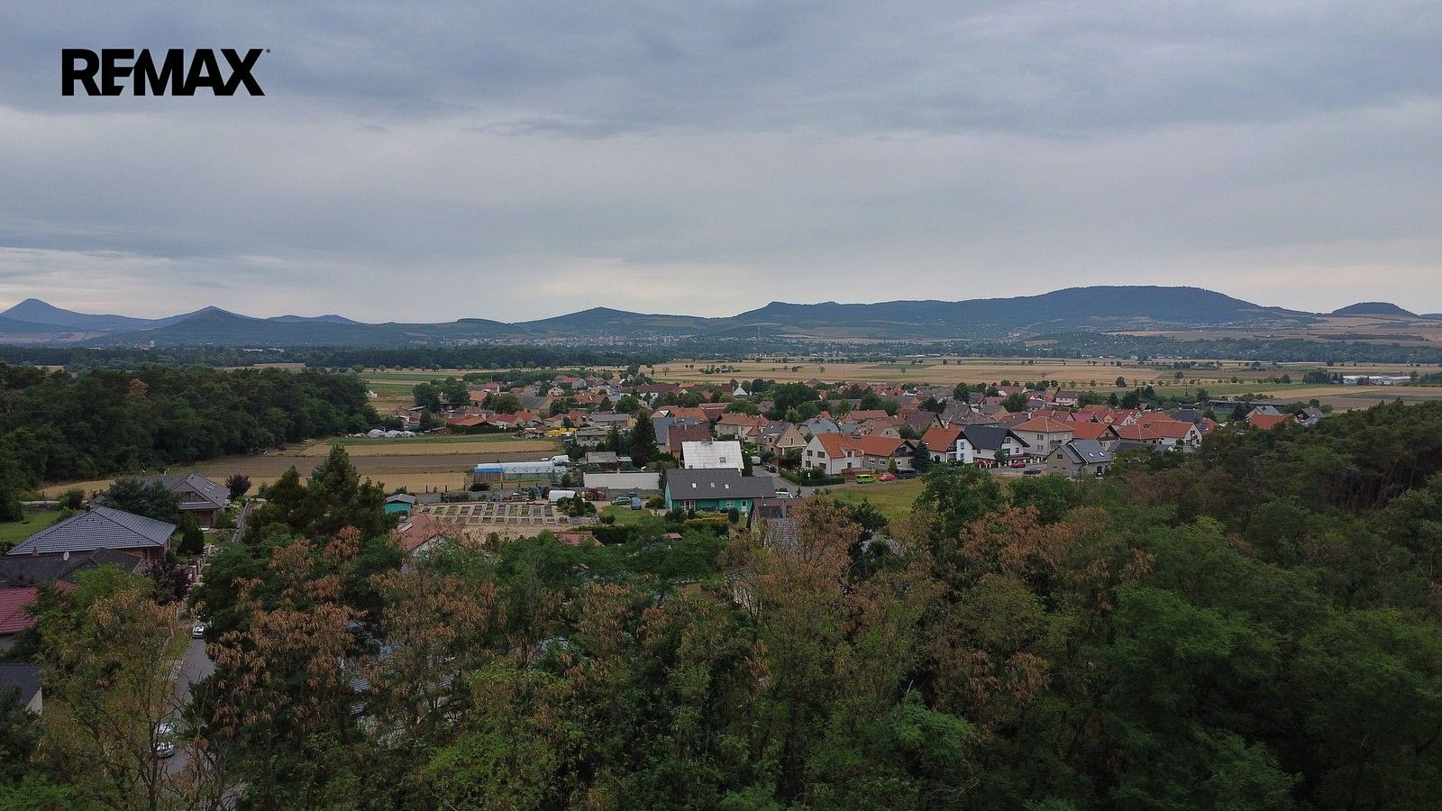 Les · Terezín, okres Litoměřice, Ústecký kraj - 4