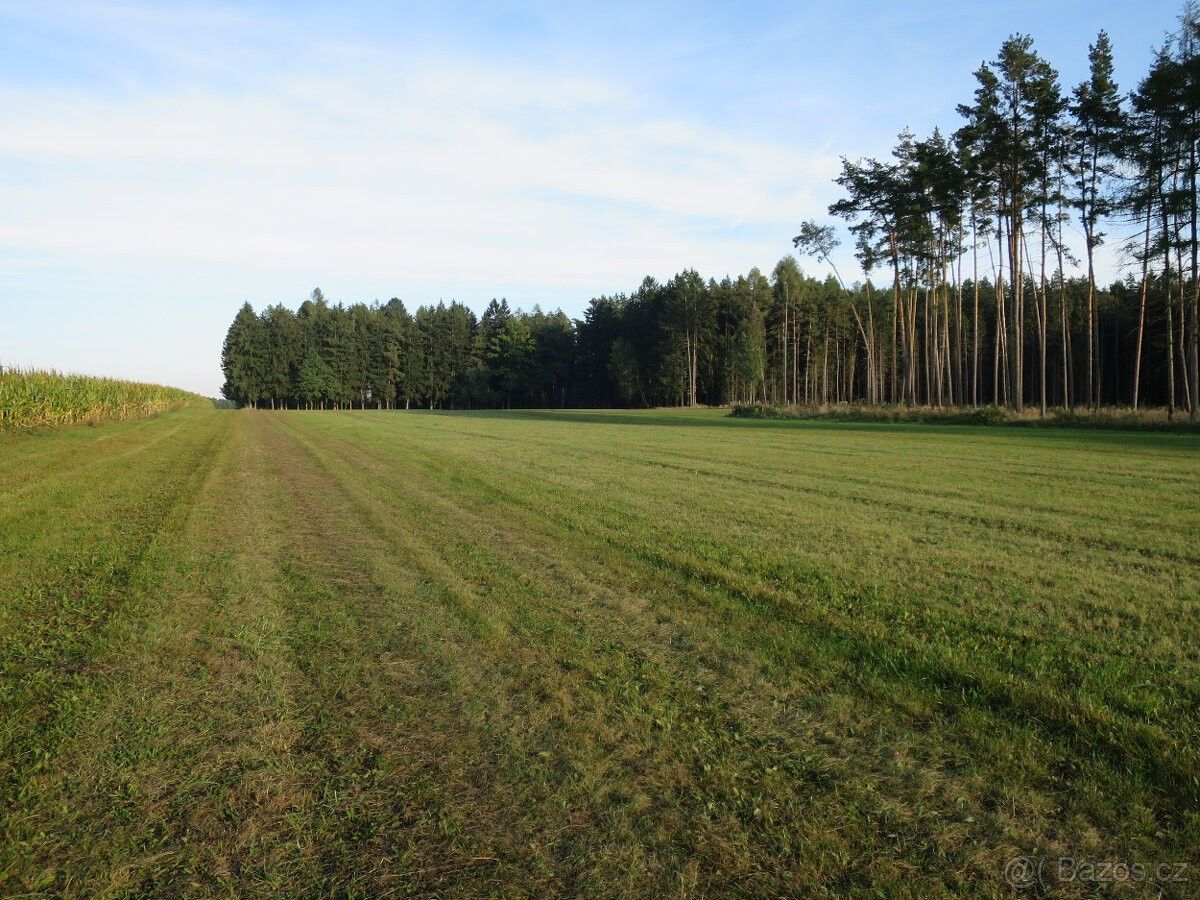 Pozemky pro bydlení, 391 32, Tábor - 2