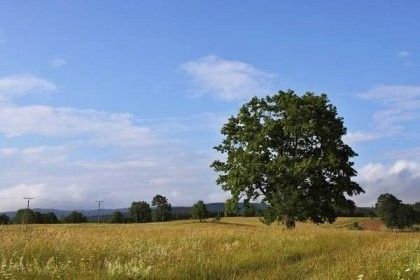 Pozemky pro bydlení, Všelibice, 463 48