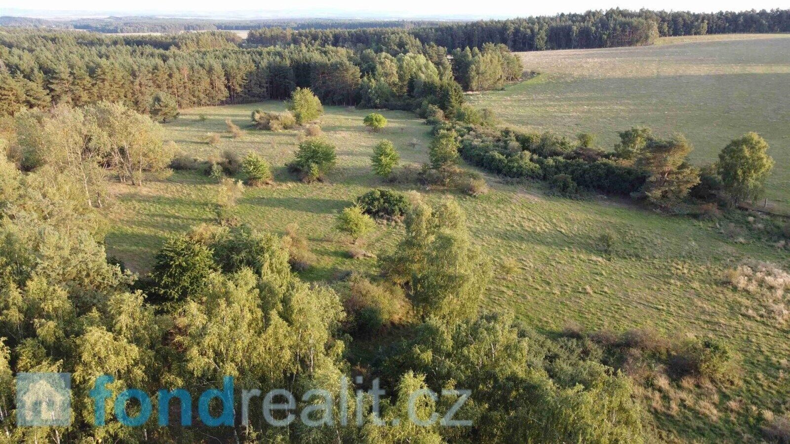Zemědělský pozemek · 7 261 m² · Žďár - 4