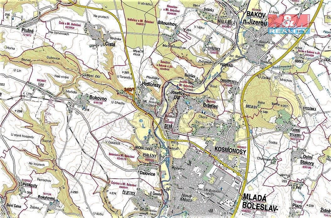 Les · Hrdlořezy, okres Mladá Boleslav, Středočeský kraj - 3