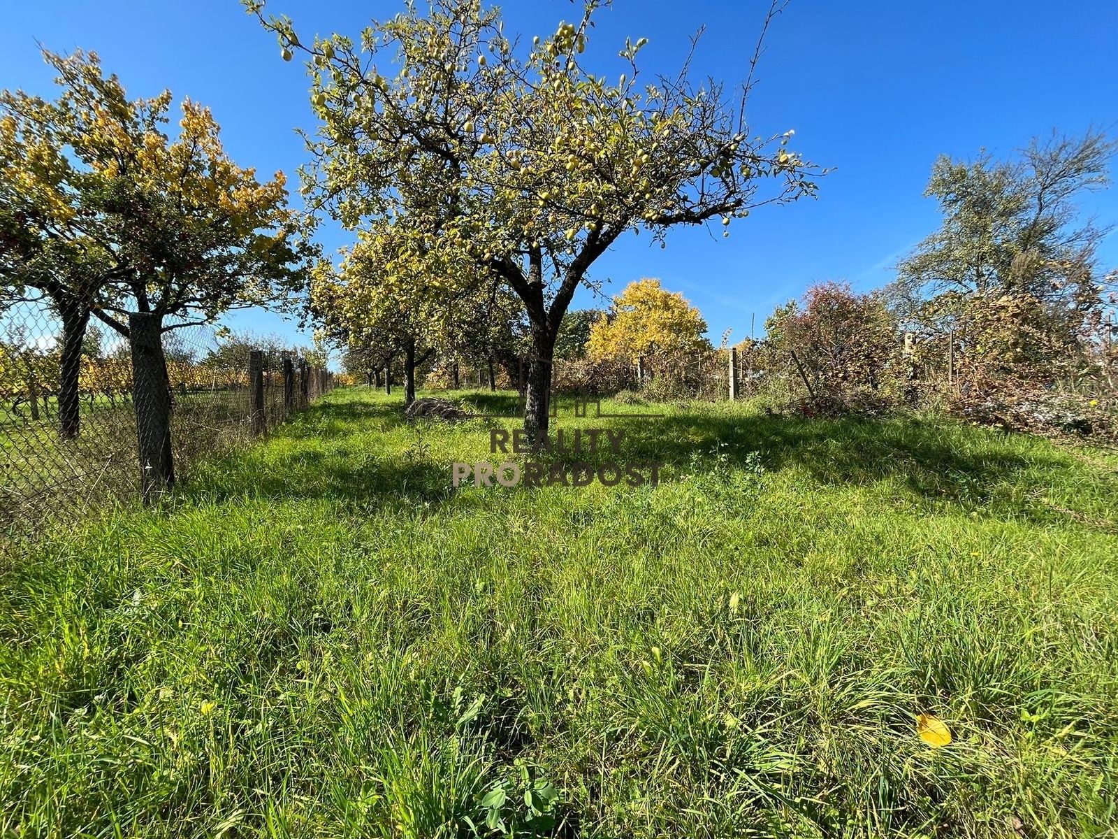 Prodej pozemek pro bydlení - Bukovany, 526 m²