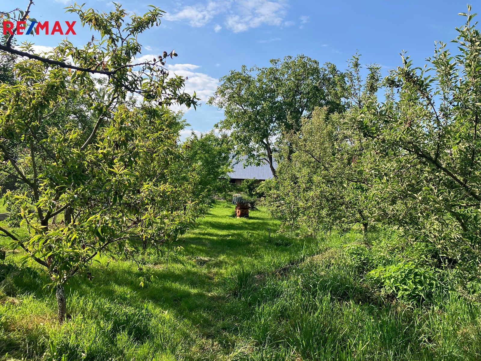 Prodej pozemek pro bydlení - Švestkova, Olomouc, 1 m²