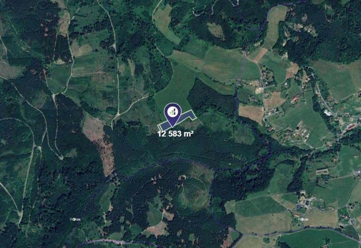 Prodej louka - Police, 4 194 m²