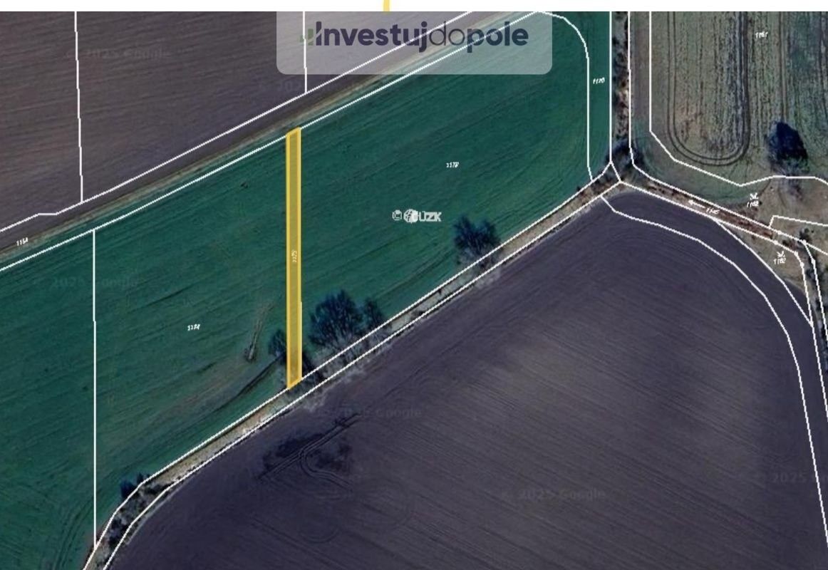 Prodej zemědělský pozemek - Choťovice, 6 966 m²