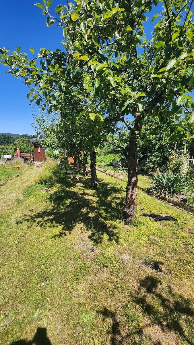 Zahrada · Nový Bor, 473 01 - 4