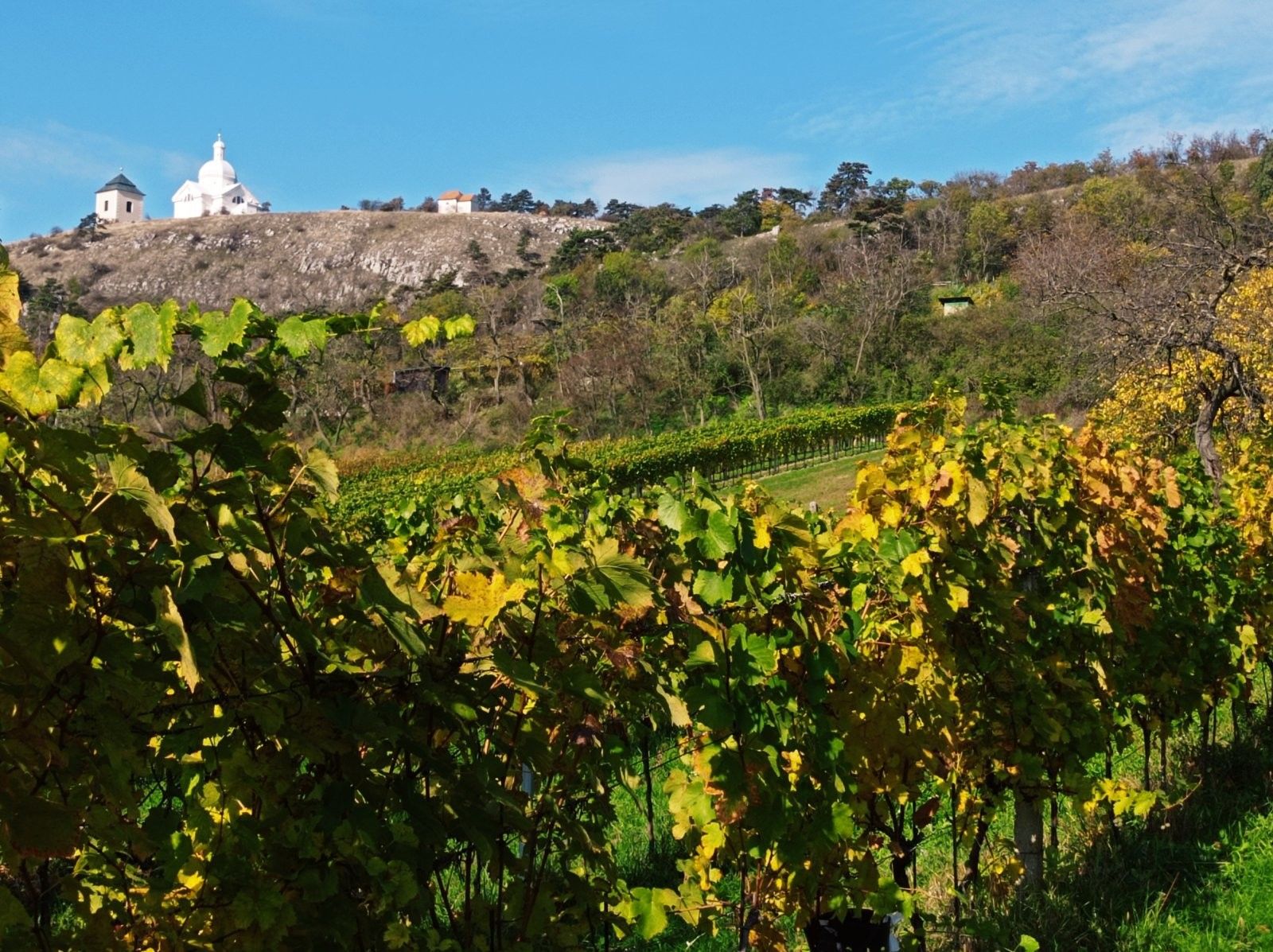 Prodej ostatní - Zlámalova, Mikulov, 40 m²