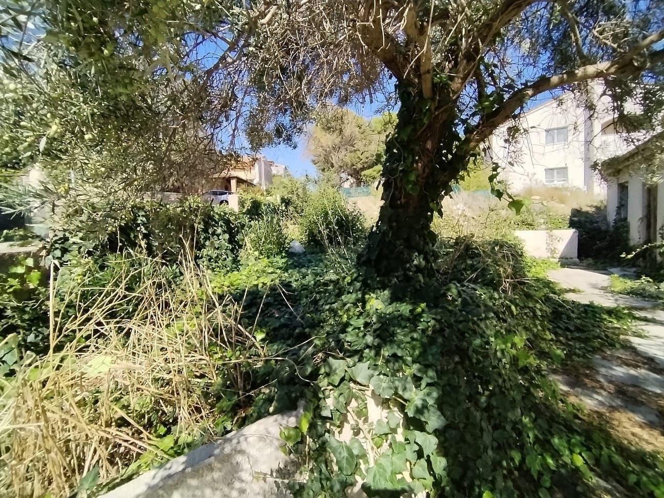 Prodej rodinný dům - Ližnjan, HR, 170 m² - 5