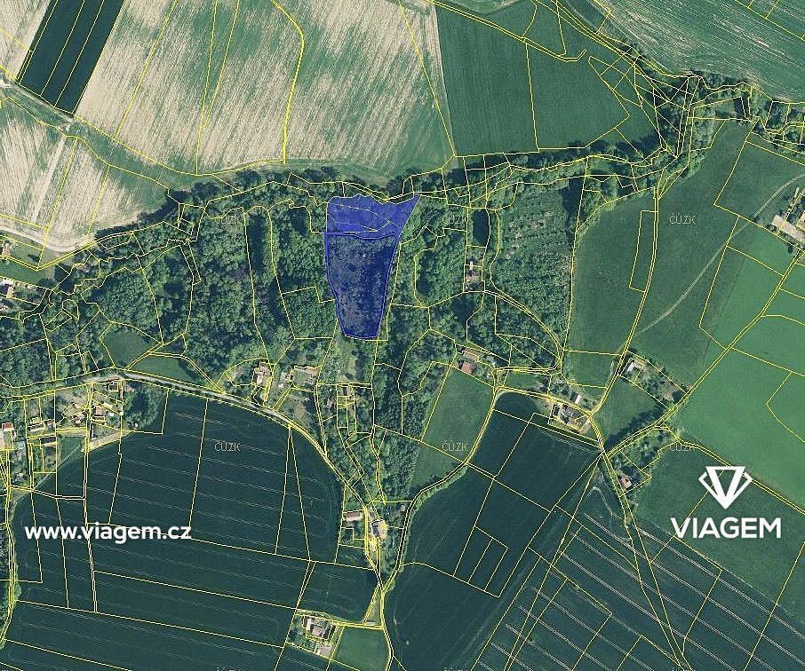 Prodej les - Sobotka, okres Jičín, Královéhradecký kraj - 2
