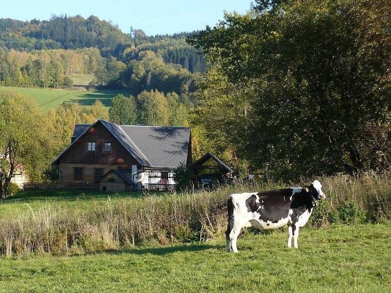 Chaty, Bukovice u Jeseníka, Olomoucký kraj - 1