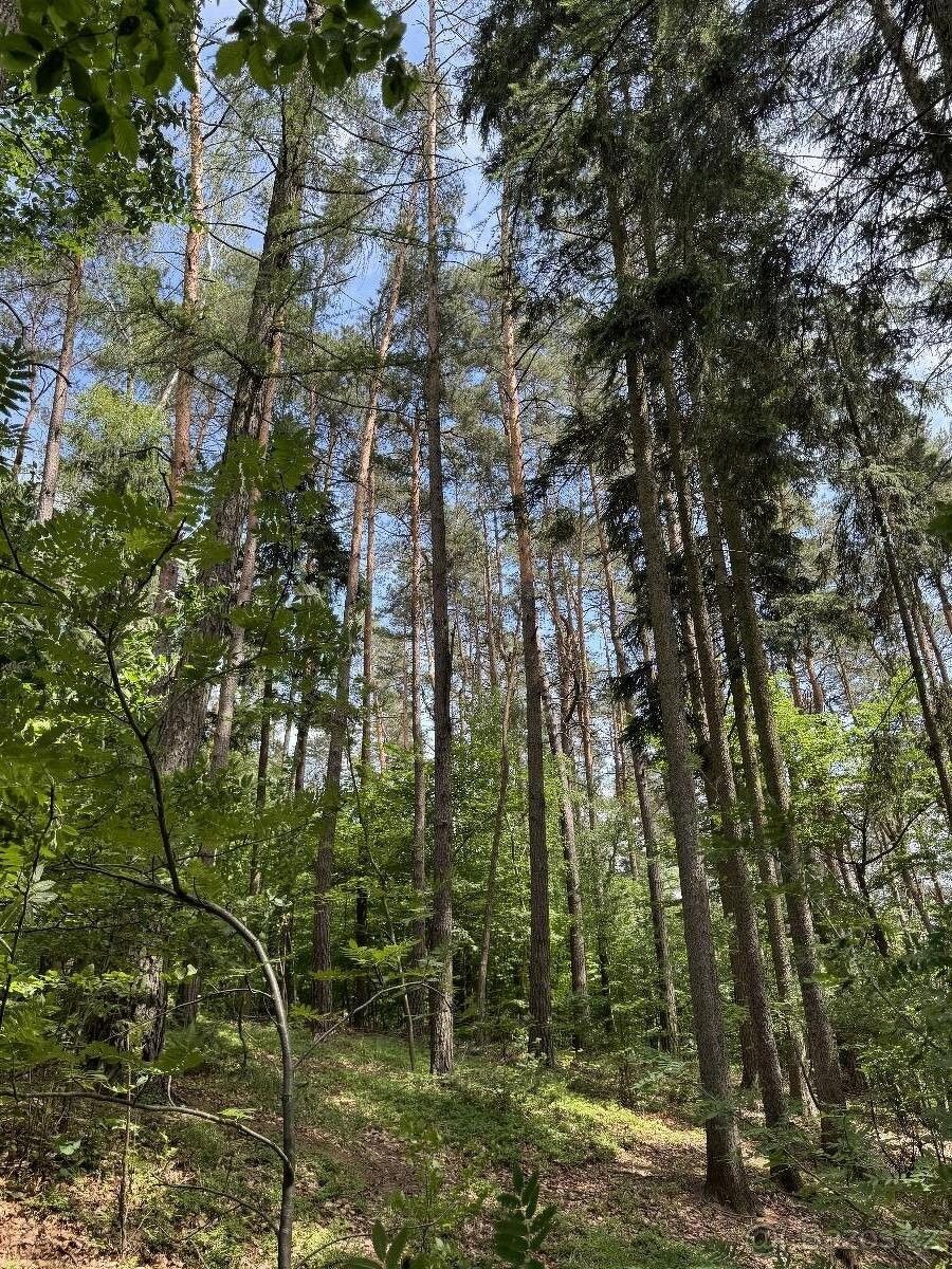 Prodej pozemek pro bydlení - Úpice, 542 32