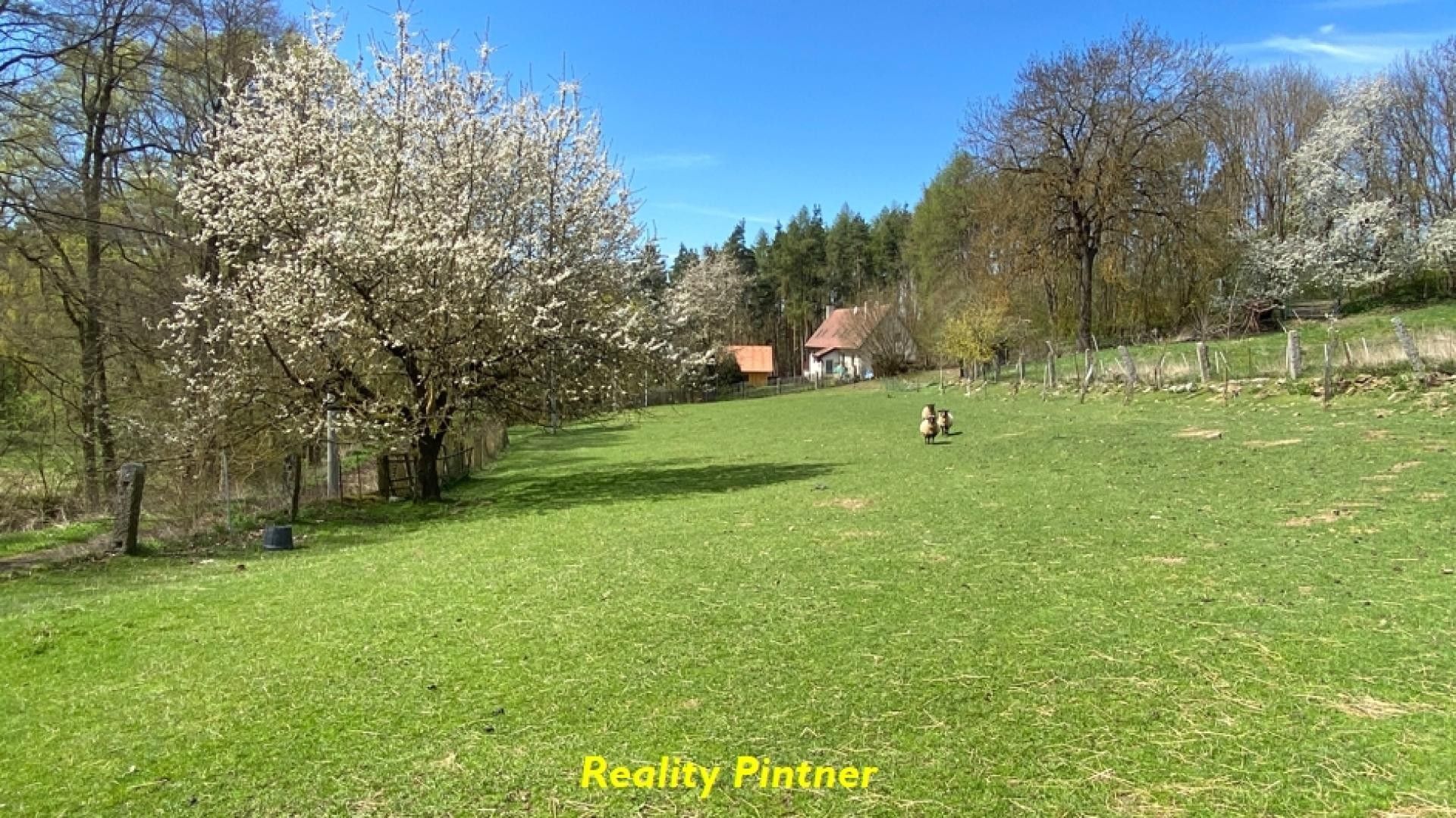 Prodej zemědělská usedlost - Mirovice Ohař, 100 m² - 5