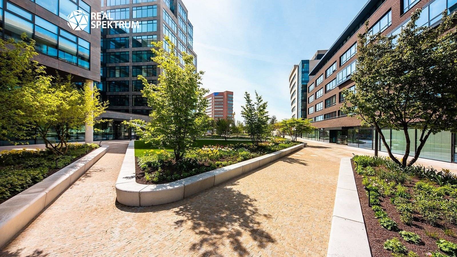 Pronájem kancelář - Brno - Trnitá, okres Brno-město, Jihomoravský kraj, 506 m² - 5