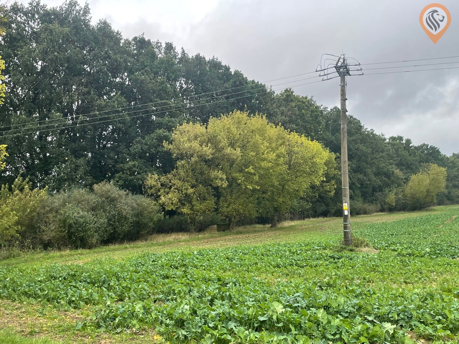 Zemědělské pozemky, Úhonice, 7 001 m² - 1