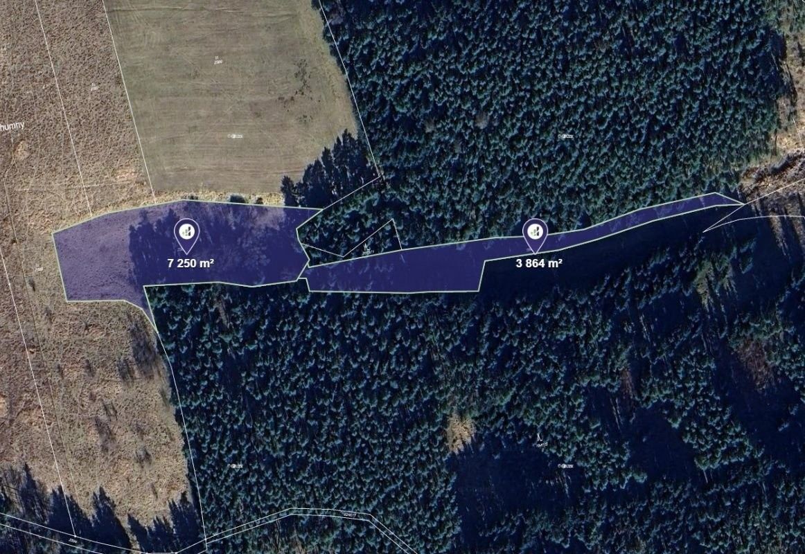 Louky, Planá, 17 635 m² - 1