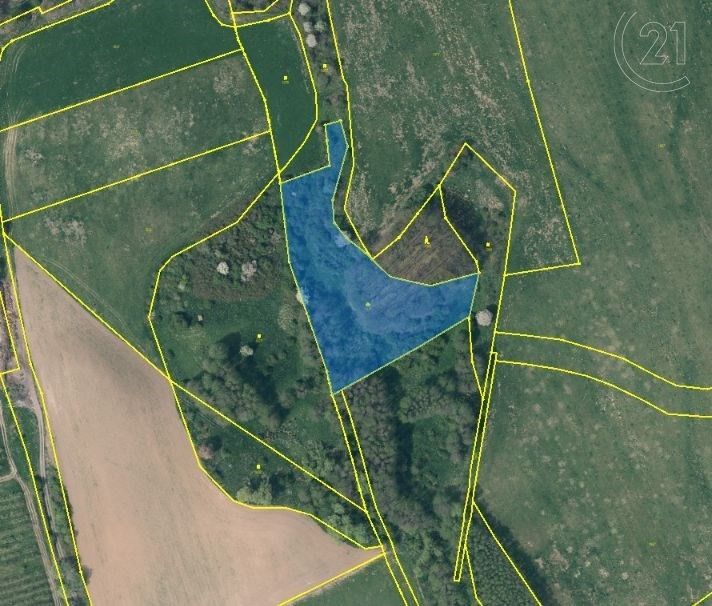 Prodej zemědělský pozemek - Dolní Habartice, 9 928 m²