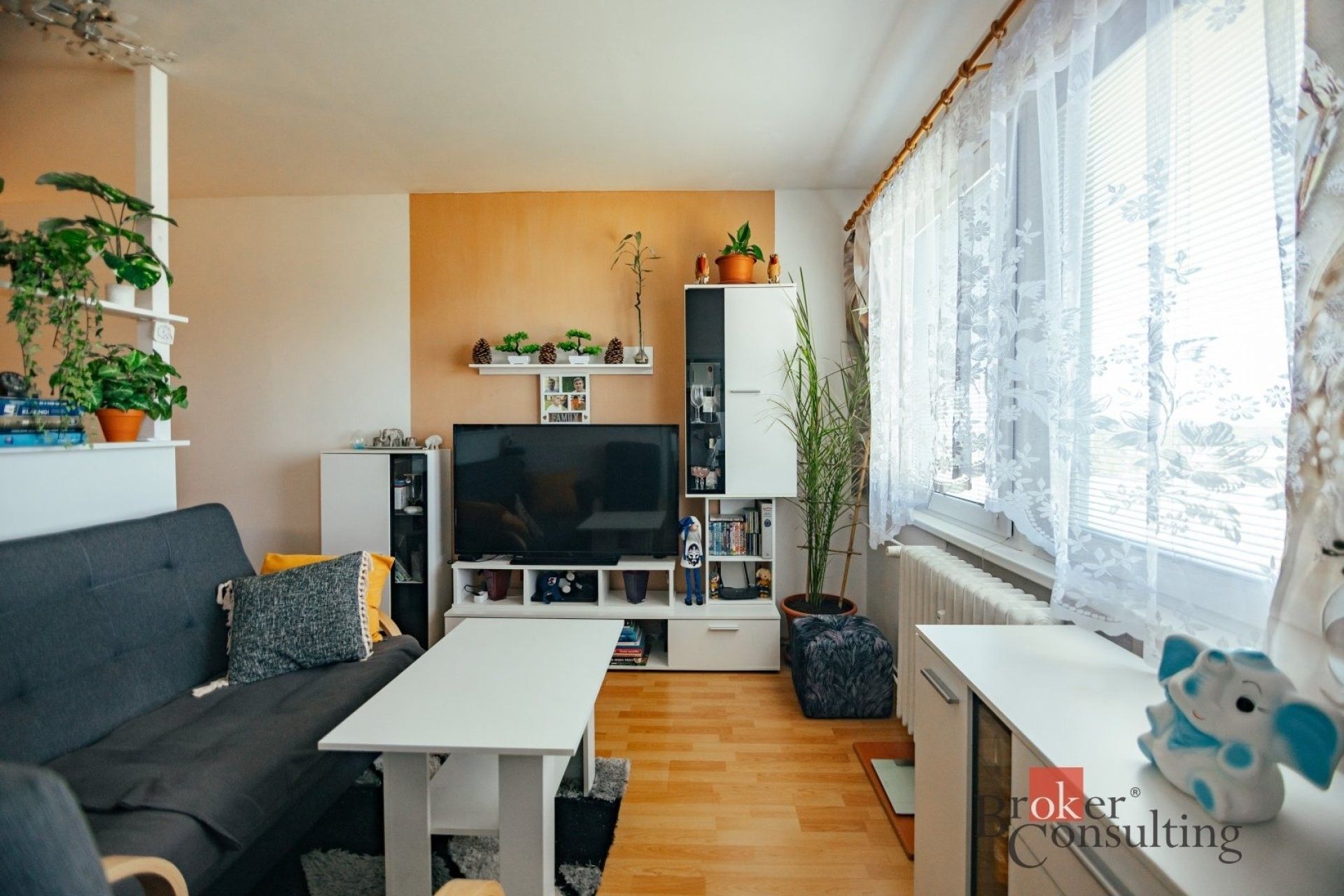 Prodej byt 2+1 - Pohořská, Opočno, 60 m² - 5