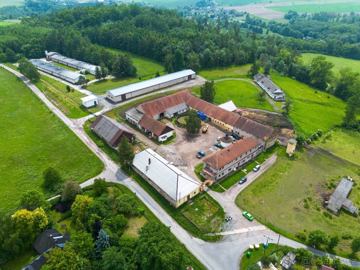 Ostatní, Potštejn, 517 43 - 1