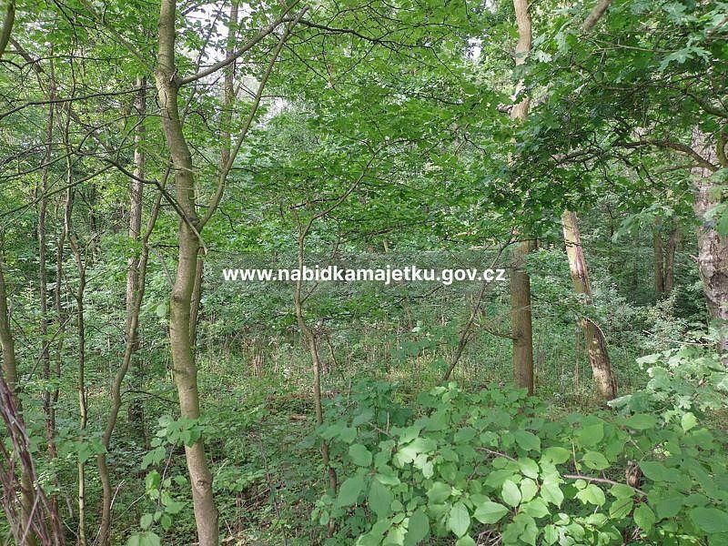 Pozemek · Žandov, okres Česká Lípa, Liberecký kraj - 3