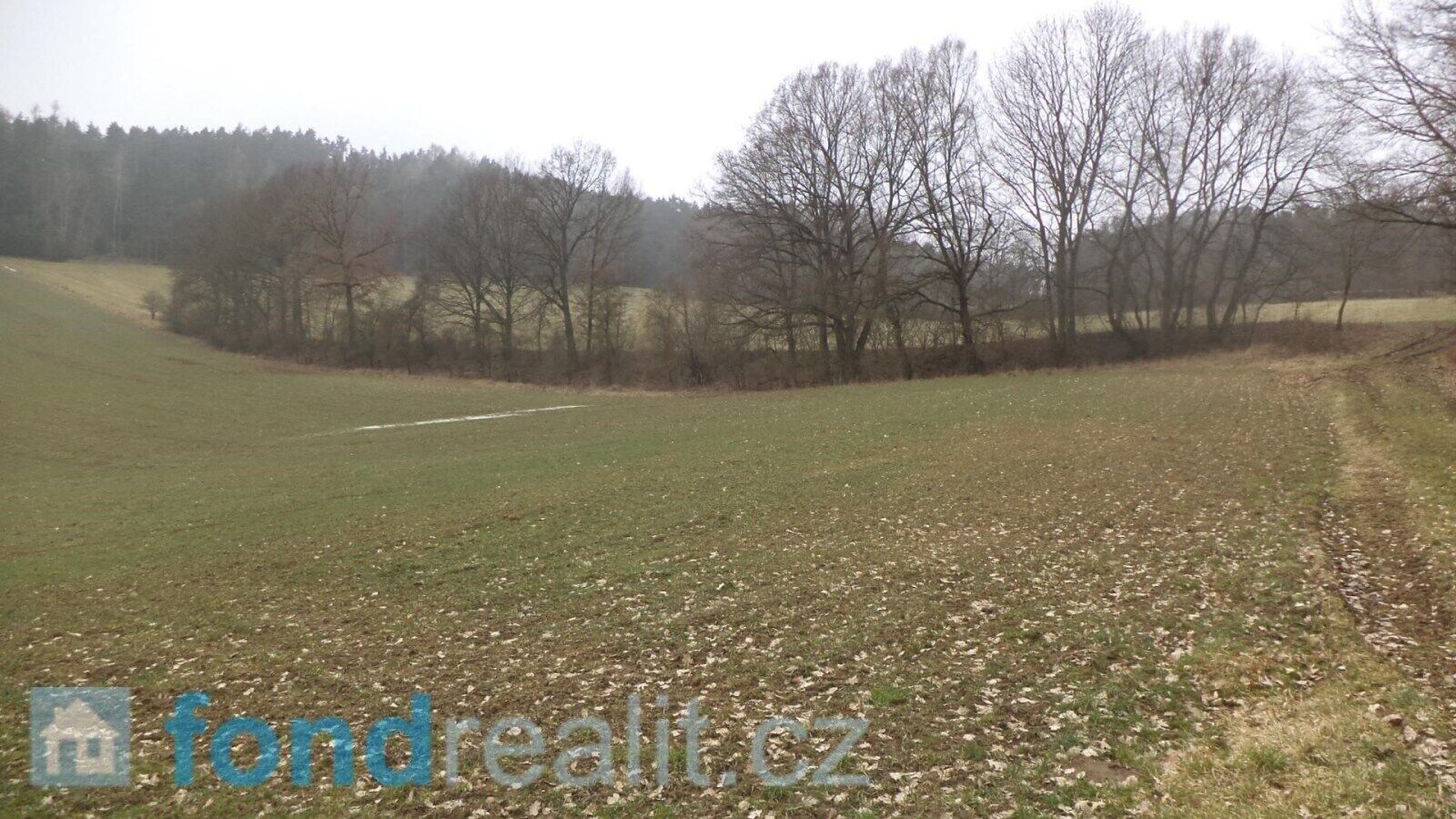 Ostatní, Zvěstov, 1 506 m² - 2