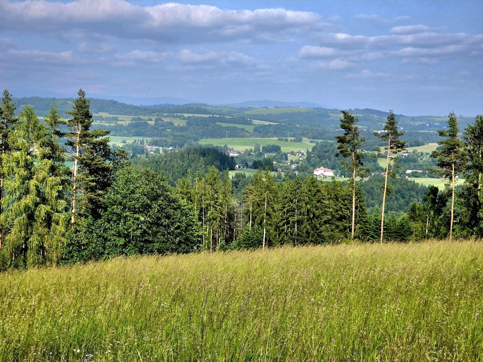 Louka · 10 451 m² · Vlastiboř - 4