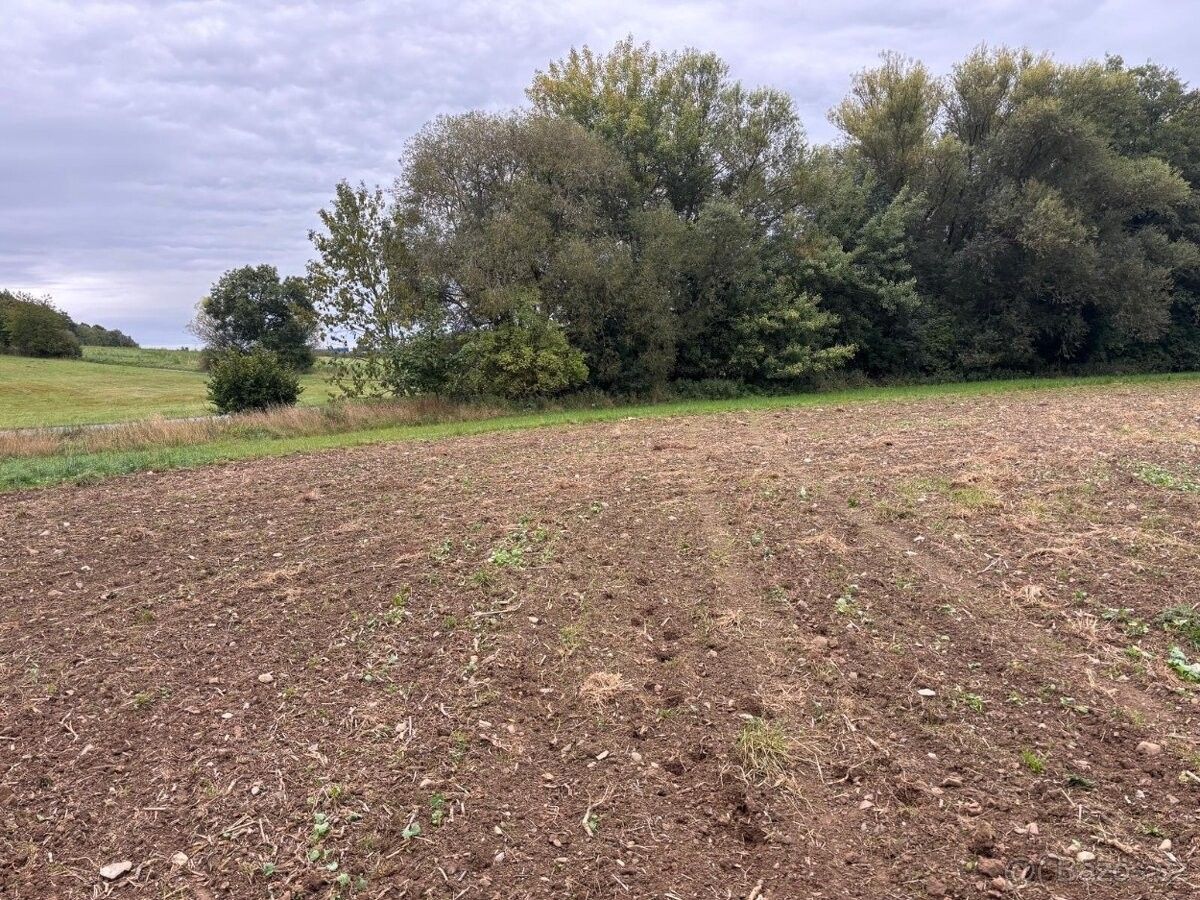 Pozemky pro bydlení, Konice, 798 52