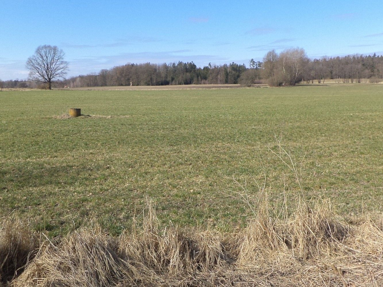 Prodej zemědělský pozemek - Stříbřec - 5