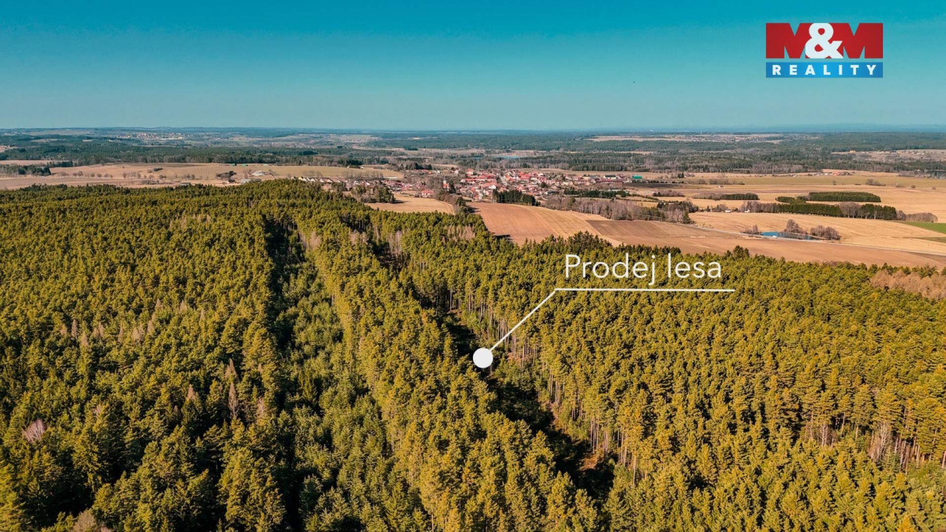 Prodej les - Olešnice